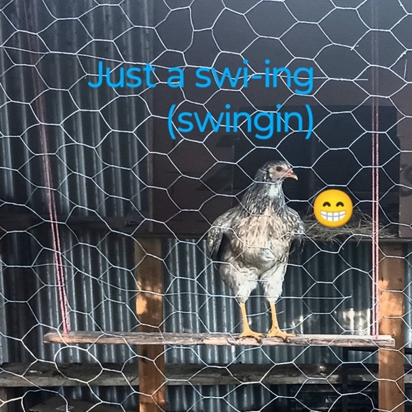 Bits and Pieces - Picture 4 of 12